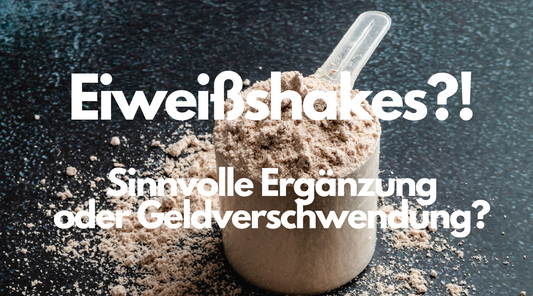 EIWEISSSHAKES?! SINNVOLLE NAHRUNGSERGÄNZUNG ODER SINNLOSE GELDVERSCHWENDUNG?