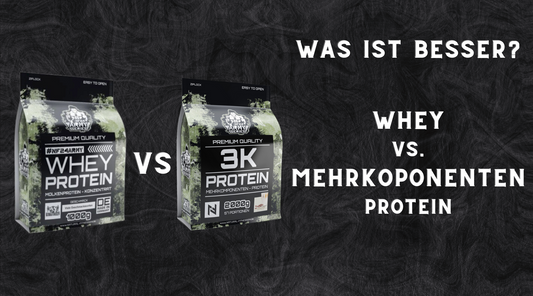 WAS IST BESSER WHEY ODER MEHRKOMPONENTEN PROTEIN?