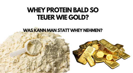 Was kann man statt Whey nehmen?