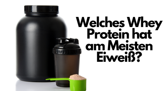 WELCHES WHEY PROTEIN HAT AM MEISTEN EIWEISS?