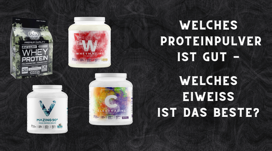 WELCHES PROTEINPULVER IST GUT BZW. WELCHES EIWEISS IST DAS BESTE?