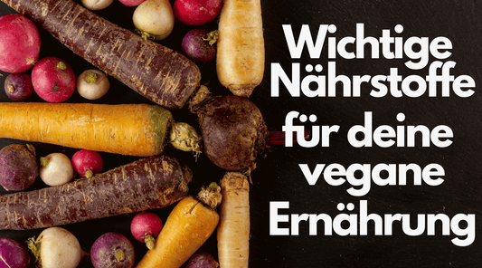 Wichtige Nährstoffe für deine vegane Ernährung - Welche Nahrungsergänzungsmittel sind sinnvoll?